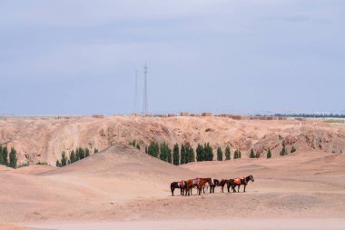 Gobi Çölü Yang geçişte Yangguan, Gansu, Çin tarihi yerinde ortasında atları