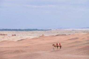 Yang geçişte Yangguan, Gansu, Çin tarihi yerinde çorak gobi Çölü'nde bir deve ayakta