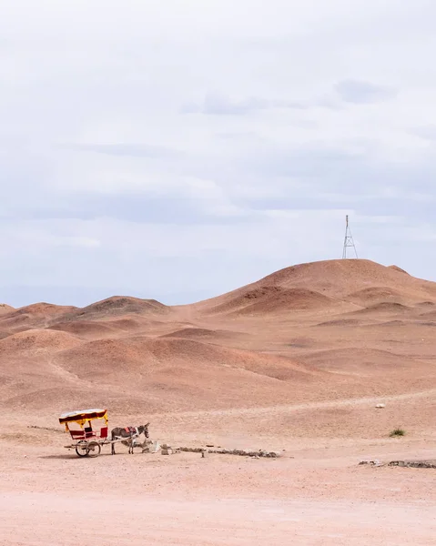 Donkey Cart Middle Gobi Desert Historical Site Yang Pass Yangguan — Stock Photo, Image