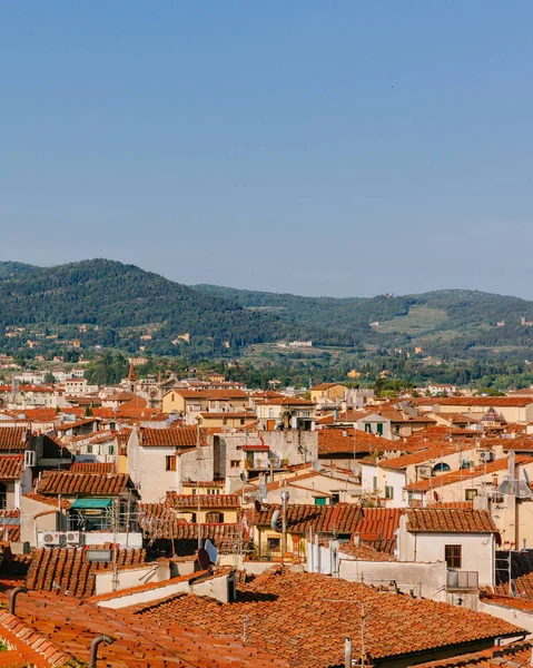 View of houses and architecture of historical center of Florence, Italy under hills and sky
