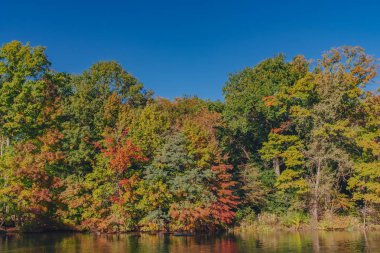 Central Park ve New York City, ABD mavi gökyüzü açık görüş yeşil ve sarı sonbahar ağaç su altında tarafından