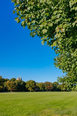 Görünümü, boş büyük çim, Central Park Manhattan, New York City, ABD Açık mavi gökyüzü altında