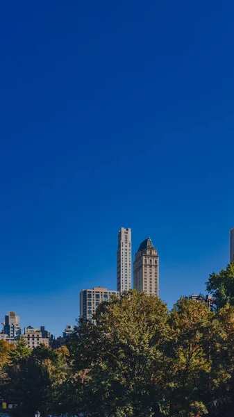 Binalar Gökdelenler Ağaçlar Central Park New York City Abd Görüntülendi — Stok fotoğraf