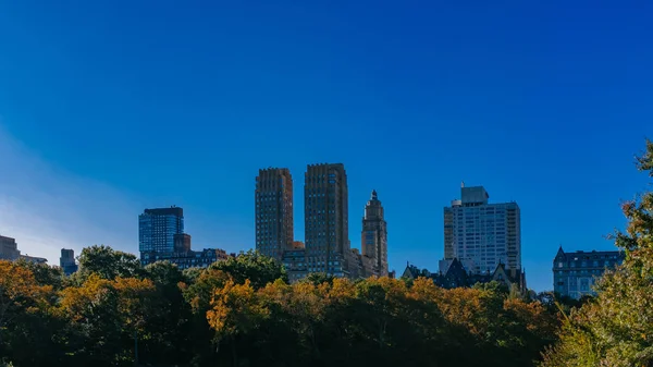 Blick Auf Gebäude Und Wolkenkratzer Von Midtown Manhattan Über Bäume — Stockfoto