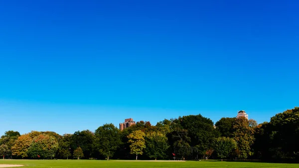 Visa Tomma Stora Gräsmatta Central Park Klarblå Himmel Manhattan New — Stockfoto