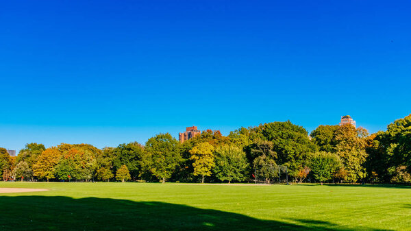 View of empty Great Lawn of Central Park under clear blue sky, in Manhattan, New York City, USA