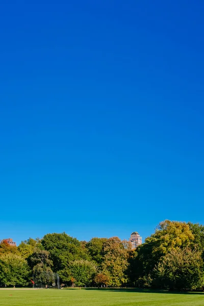 Подання Порожнім Великий Газон Центрального Парку Під Ясне Блакитне Небо — стокове фото