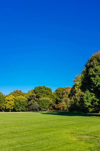Blick Auf Den Leeren Großen Rasen Des Central Parks Unter — Stockfoto