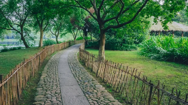 Bir kulübe ağaç, çevre West Lake, Hangzhou, Çin arasında önde gelen bir yol