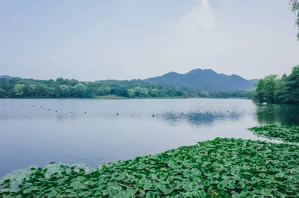 杭州地区茂家堡地区西湖平静的水景和周围的丘陵 — 图库照片