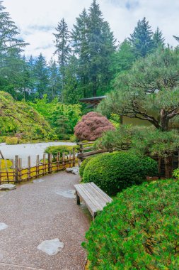 Görünümü yolu Portland Japonca Garden, Portland, ABD ağaçları arasında ve ahşap Bank