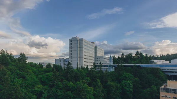 View Footbridge Building Trees Marquam Hill Porttland Usa — Stock Photo, Image