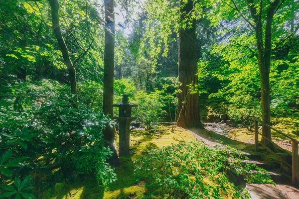 Pohled Pagoda Lampu Pěšina Mezi Stromy Japonská Zahrada Portland Portland — Stock fotografie