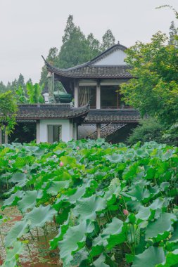 Batı Gölü, Hangzhou, Çin için lotus geleneksel Çin evi görünümünü bırakır