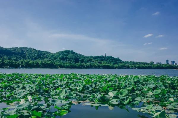Batı Gölü'nün yatay, lotus yaprakları ve Baochu Pagoda Baoshi Hill, Hangzhou, Çin için üstüne görünümünü