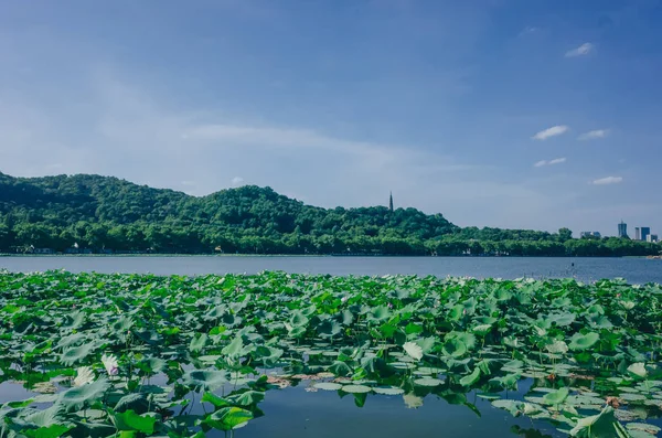 杭州宝石山顶上的西湖和宝珠塔景观 — 图库照片