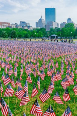 Boston, Amerika Birleşik Devletleri - 27 Mayıs 2016: Boston Common düşmüş asker savaşları, anma günü hafta sonu boyunca anmak için içinde binlerce bize bayrakları görünümünü dikti