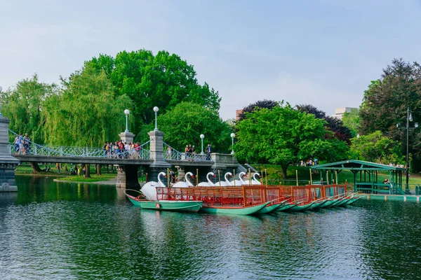 Boston, Amerika Birleşik Devletleri - 27 Mayıs 2016: Kuğu tekne görünümü ve bir erken yaz günü zevk halk ile Boston Kamu Bahçe, göl üzerinde köprü