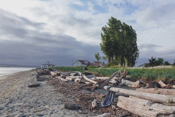 View of driftwood on beach and Victorian-era lighthouse in Discovery Park of Seattle, USA