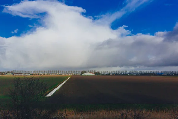 Перегляд Полів Під Небо Хмари Голландська Селі Поблизу Амстердам Нідерланди — стокове фото