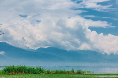 View of trees and water plants in Lake Erhai, with mountains covered in clouds in the distance, in Dali, Yunnan, China clipart