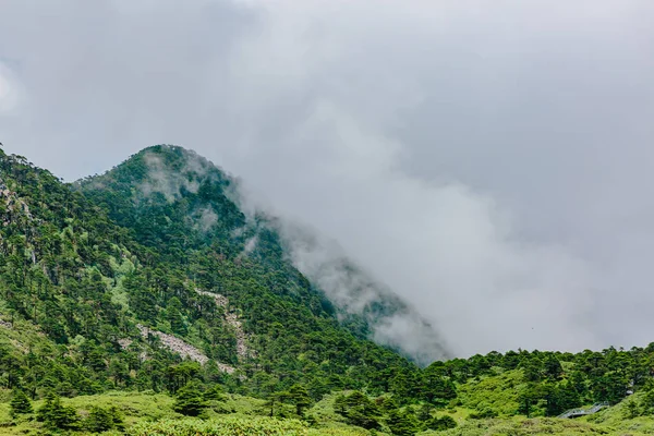 Vista Cumes Montanha Cobertos Por Nuvens Nevoeiro Topo Das Montanhas — Fotografia de Stock