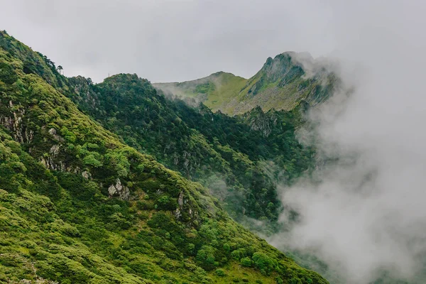Bulutlar ve sis Dali, Yunnan, Çin dağlarında Cangshan üstüne kaplı dağ sırtlar görünümünü