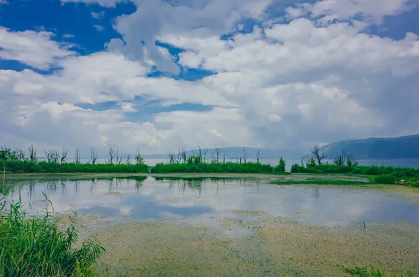 Vista Árvores Plantas Aquáticas Lago Erhai Com Montanhas Cobertas Nuvens — Fotografia de Stock