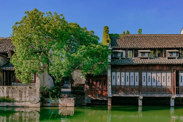 Παραδοσιακά Κινέζικα Σπίτια Και Δέντρα Νερό Παλιά Πόλη Του Wuzhen — Φωτογραφία Αρχείου