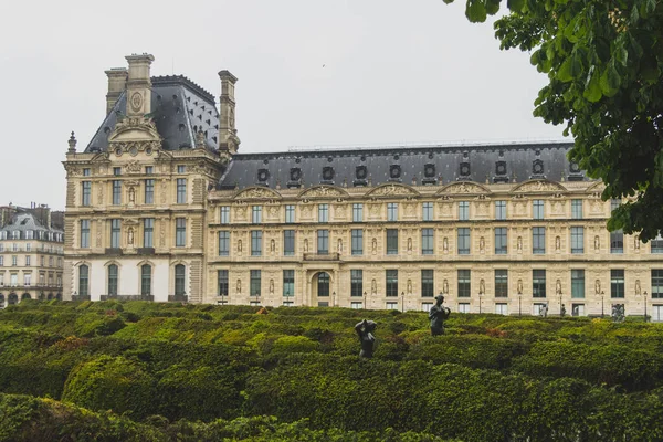 Statues parmi les arbres devant les bâtiments parisiens des Tuileries — Photo