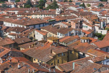 Lucca tarihi merkezinde evlerin çatıları