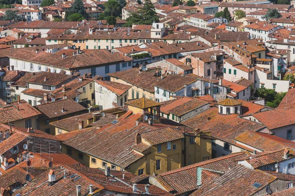 Házak háztetői, Lucca történelmi központjában — Stock Fotó