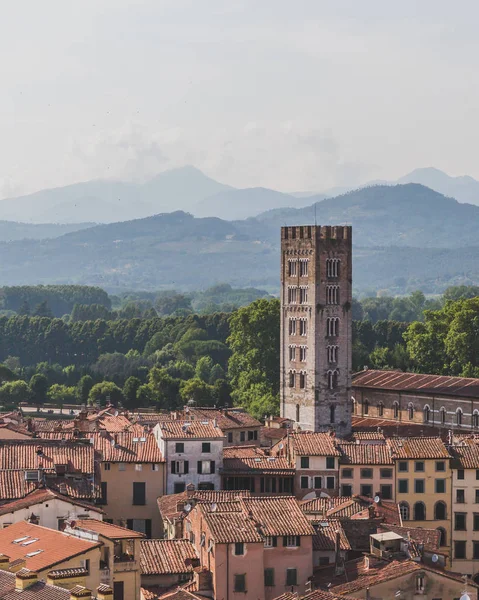 Torre y Basílica de San Frediano sobre las casas de Lucca, Toscana — Foto de Stock