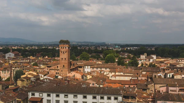 Torre Guinigi sopra le case in, Lucca, Toscana, Italia — Foto Stock