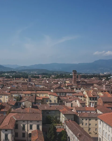 Torres sobre casas del centro histórico de Lucca, Italia — Foto de Stock