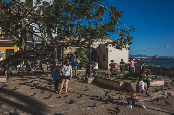 Gente alimentando a los palomas en el Viejo San Juan — Foto de Stock