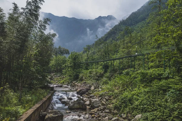Mingyue Dağı'nda bambu ormanı arasındaki dere, Çin