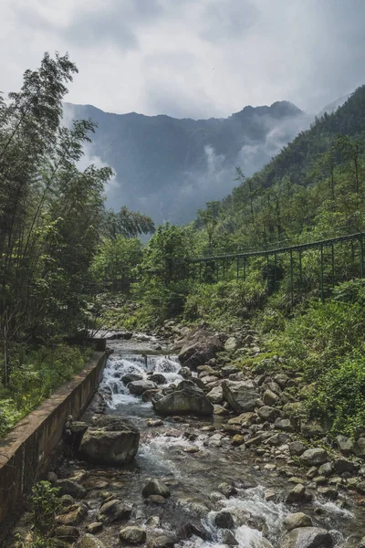 Ruisseau entre forêt de bambous à Mingyue Mountain, Chine — Photo