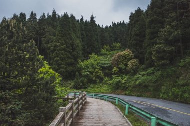 Mingyue Dağı'ndaki yol, Jiangxi, Çin