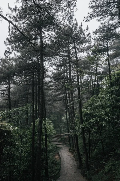 Stezka v lese v pohoří Mingyue, Jiangxi, Čína — Stock fotografie