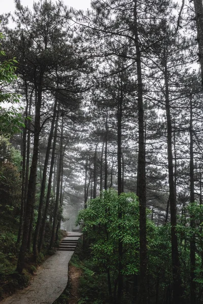Stezka v lese v pohoří Mingyue, Jiangxi, Čína — Stock fotografie