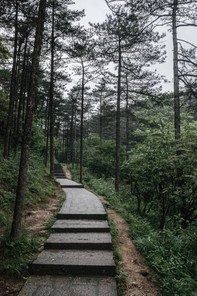 Camino en el bosque en la montaña Mingyue, Jiangxi, China —  Fotos de Stock