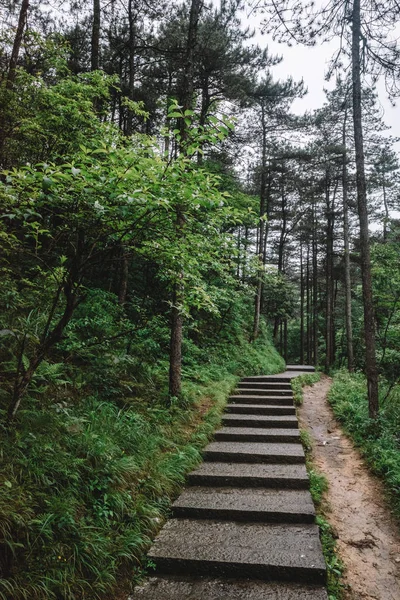 Camino en el bosque en la montaña Mingyue, Jiangxi, China —  Fotos de Stock