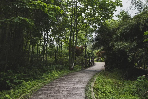 Montanha Mingyue, Jiangxi, China — Fotografia de Stock