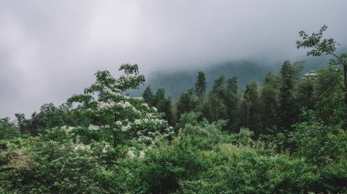 Mingyue Dağı, Jiangxi, Çin