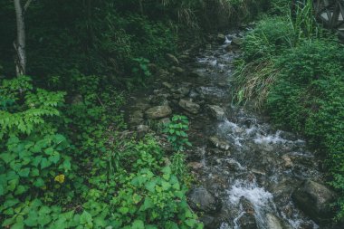 Mingyue Dağı'ndaki Nehir, Jiangxi, Çin