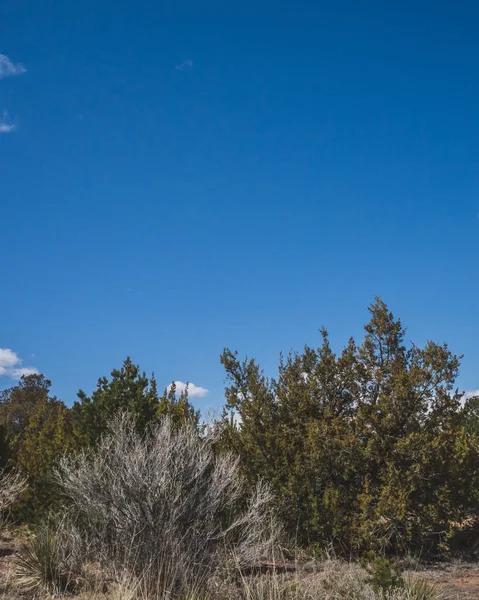Wüstenlandschaft in der Nähe von Santa Fe, New Mexico, Vereinigte Staaten — Stockfoto