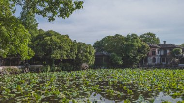 Nanxun, Zhejia lotus yaprakları ile gölet tarafından Çin mimarisi