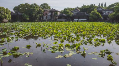 Nanxun, Zhejia lotus yaprakları ile gölet tarafından Çin mimarisi