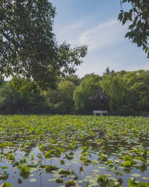 Nanxun, Zhejia lotus yaprakları ile gölet tarafından Çin mimarisi
